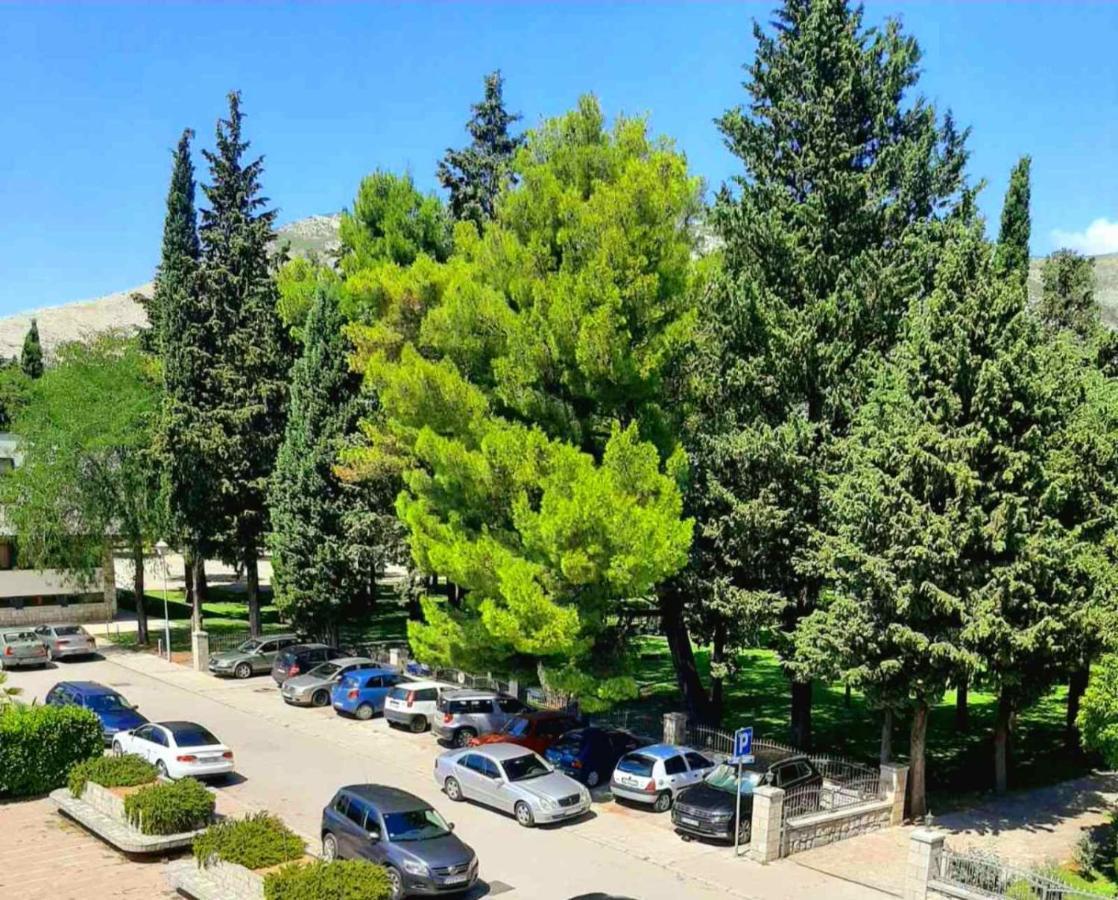 Apartman Park Trebin Dış mekan fotoğraf